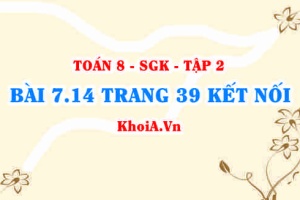 Bài 7.14 trang 39 Toán 8 Kết nối tri thức Tập 2